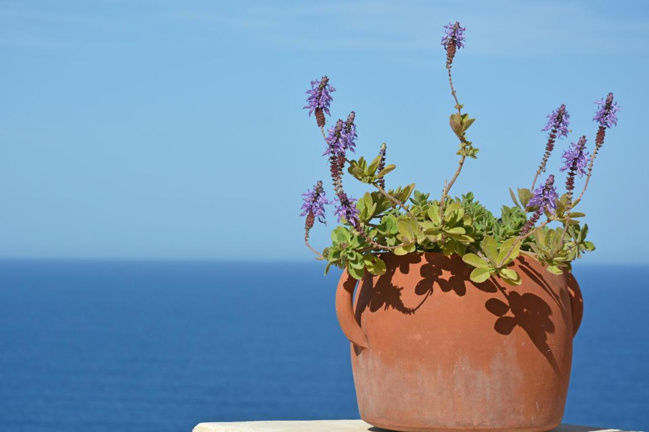 Mariangelica Hotel Ginostra Exterior photo